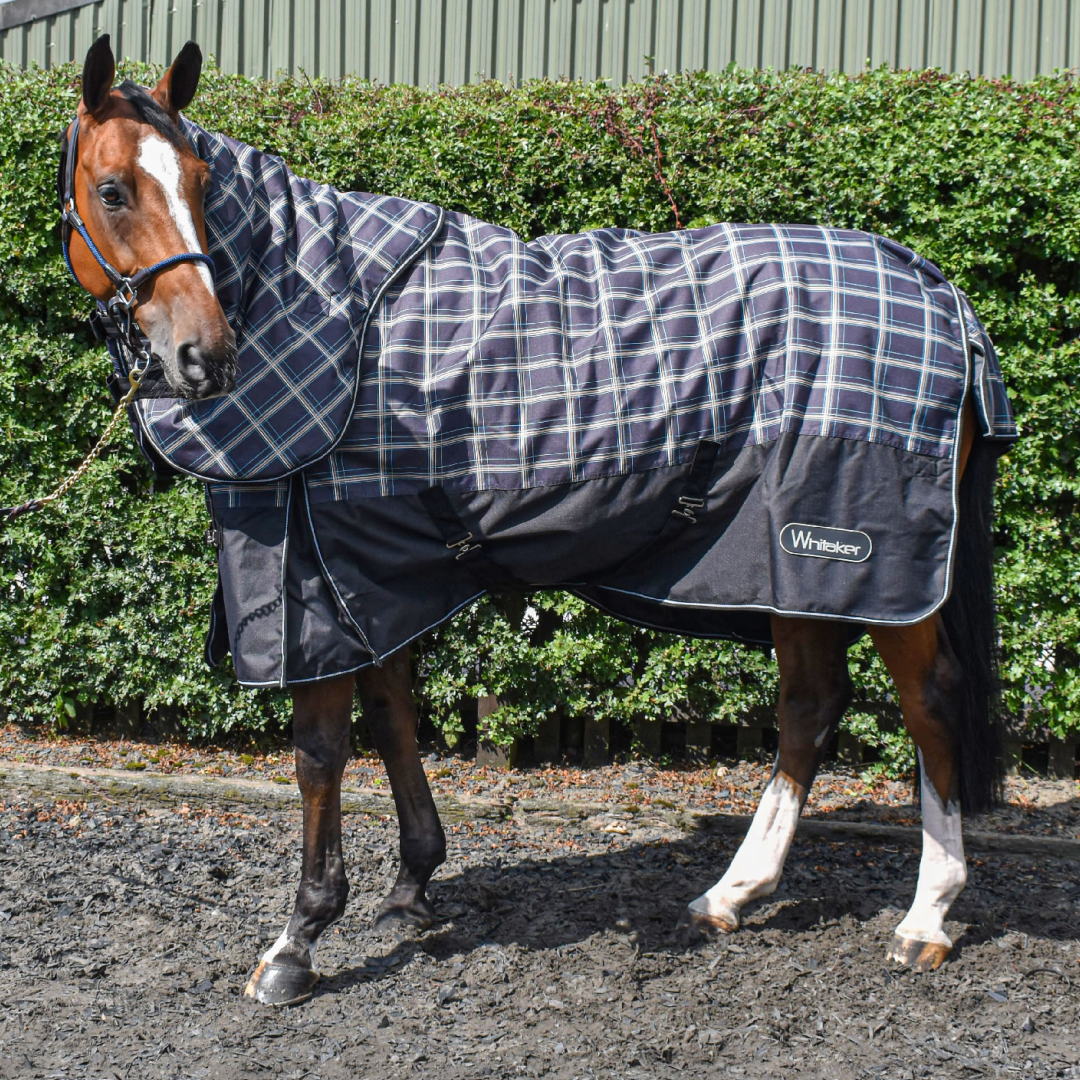 Whitaker Tunstall 170g Turnout Rug
