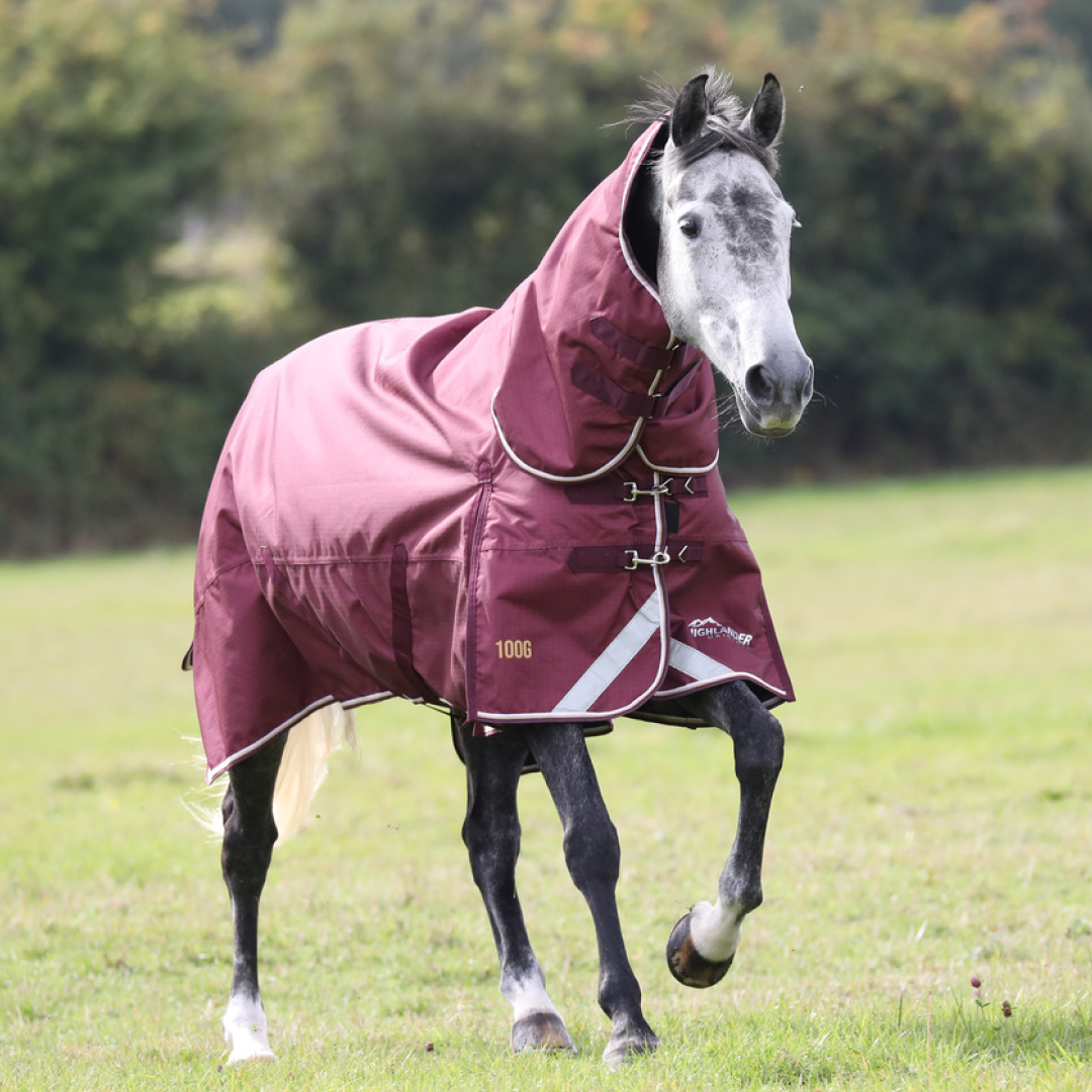 Shires Highlander Plus 100g Combo Turnout Rug