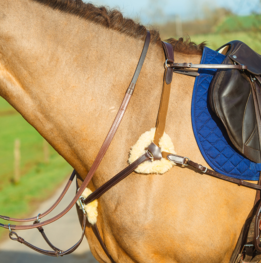 Mackey Classic 5-Point Breastplate