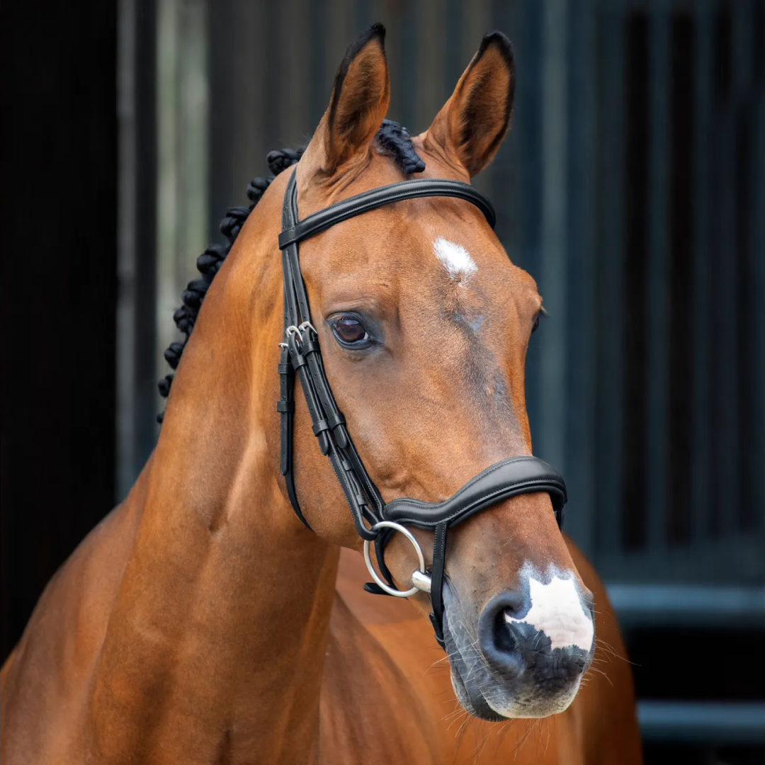 Shires Lusso Ergonomic Flash Bridle