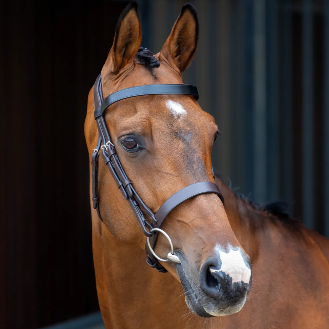 Shires Lusso Hunter Cavesson Bridle