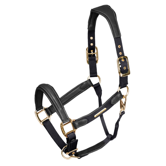 Shires Velociti Lusso Padded Leather Headcollar