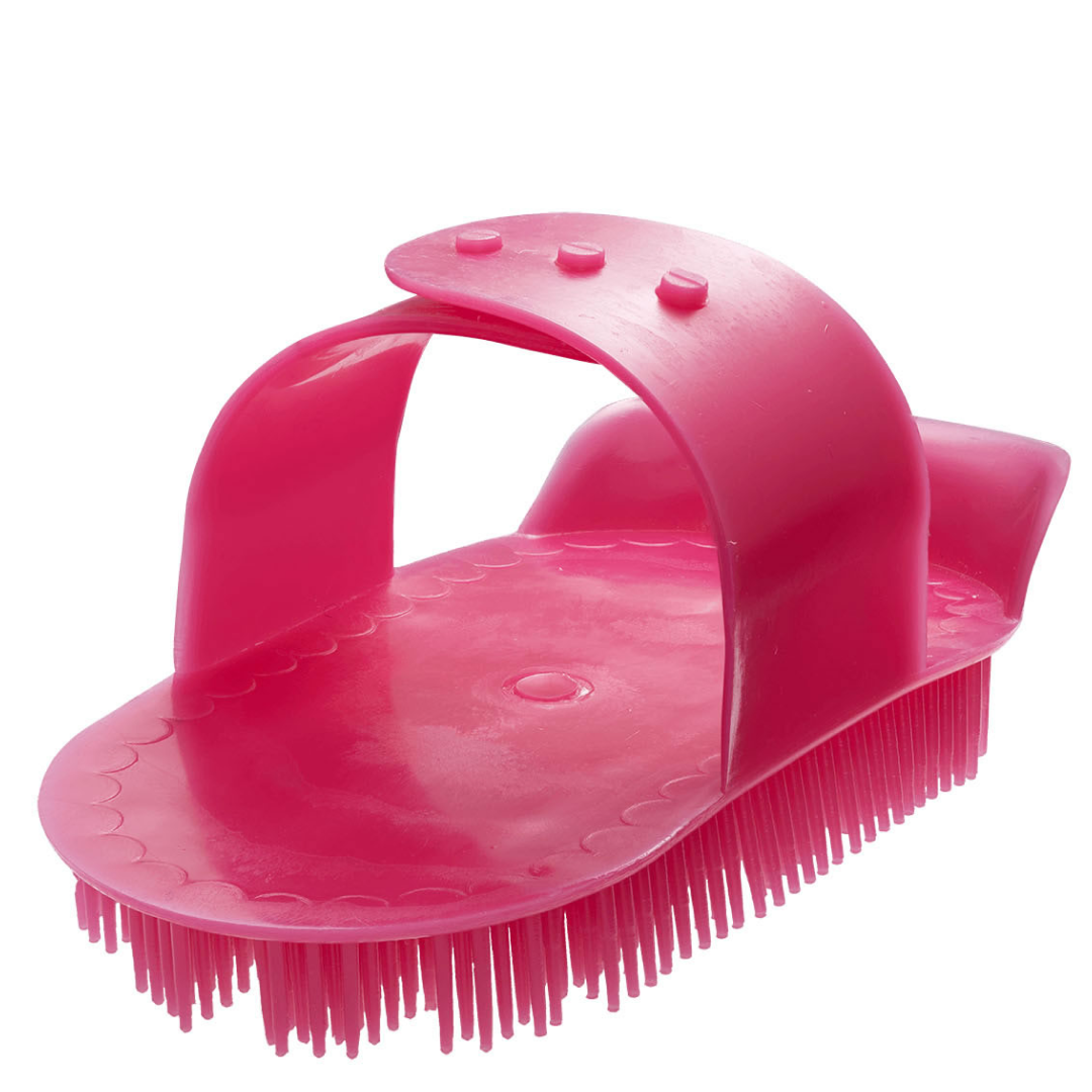 Bitz Plastic Curry Comb