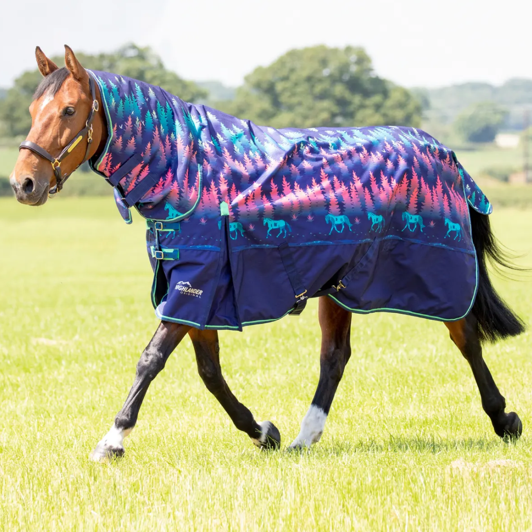 Shires Highlander Original 100g Combo Turnout Rug