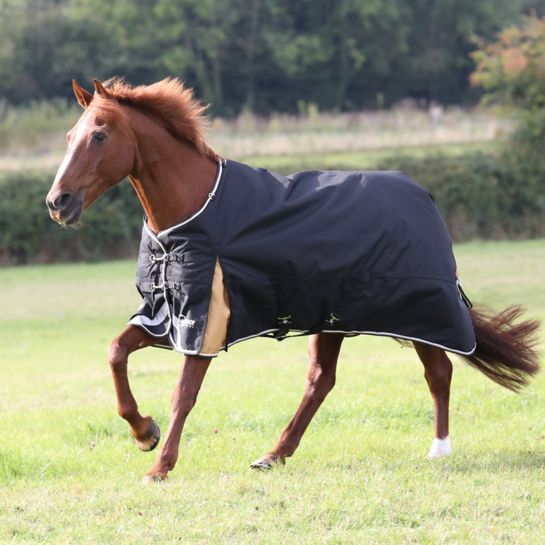 Shires Highlander Plus 200g Turnout Rug
