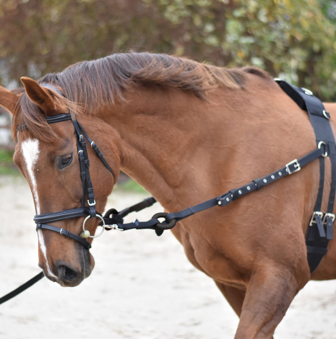 Equi-Sential Breaking Set