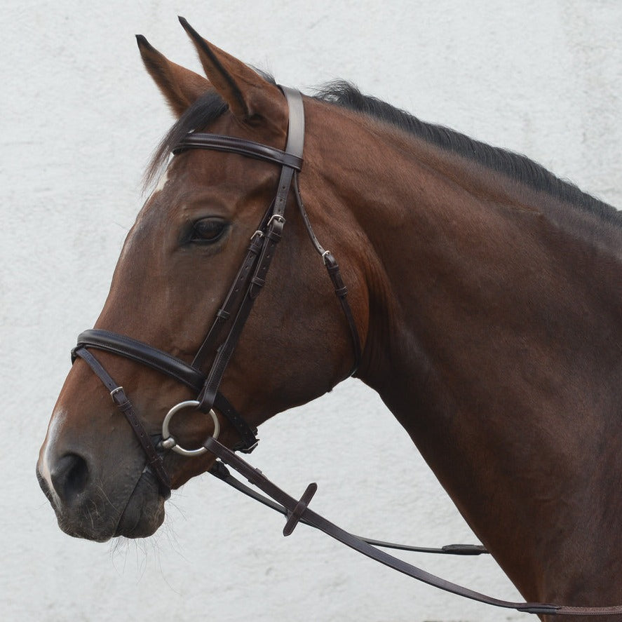 Mackey Classic Flash Bridle
