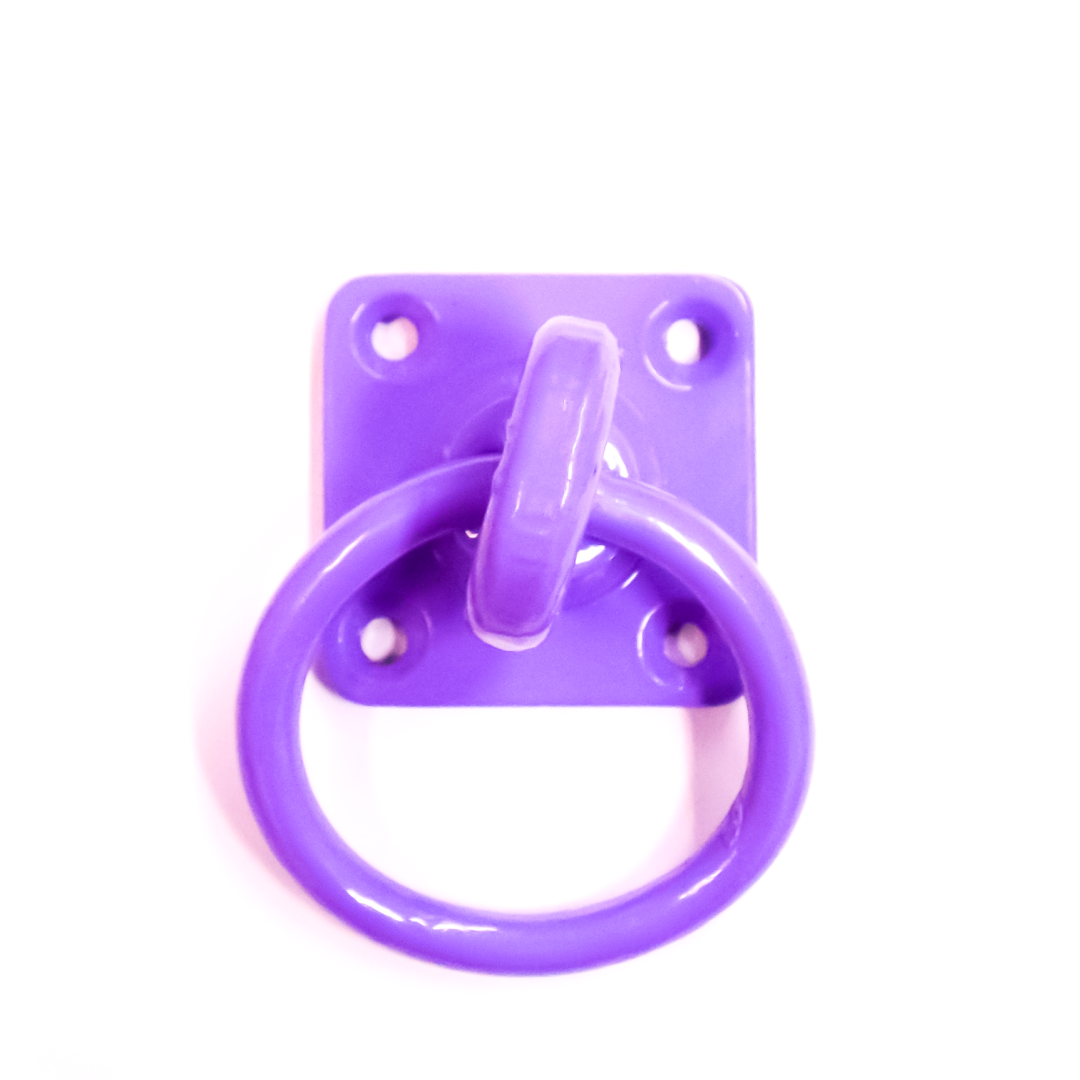 Perry Equestrian Limited Edition Swivel Tie Ring on Plate