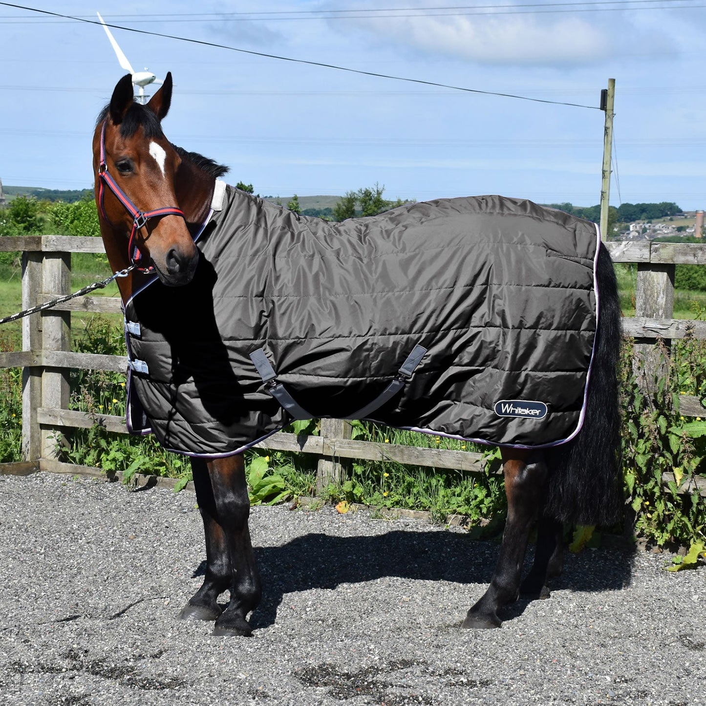 Whitaker Crompton 100g Stable Rug