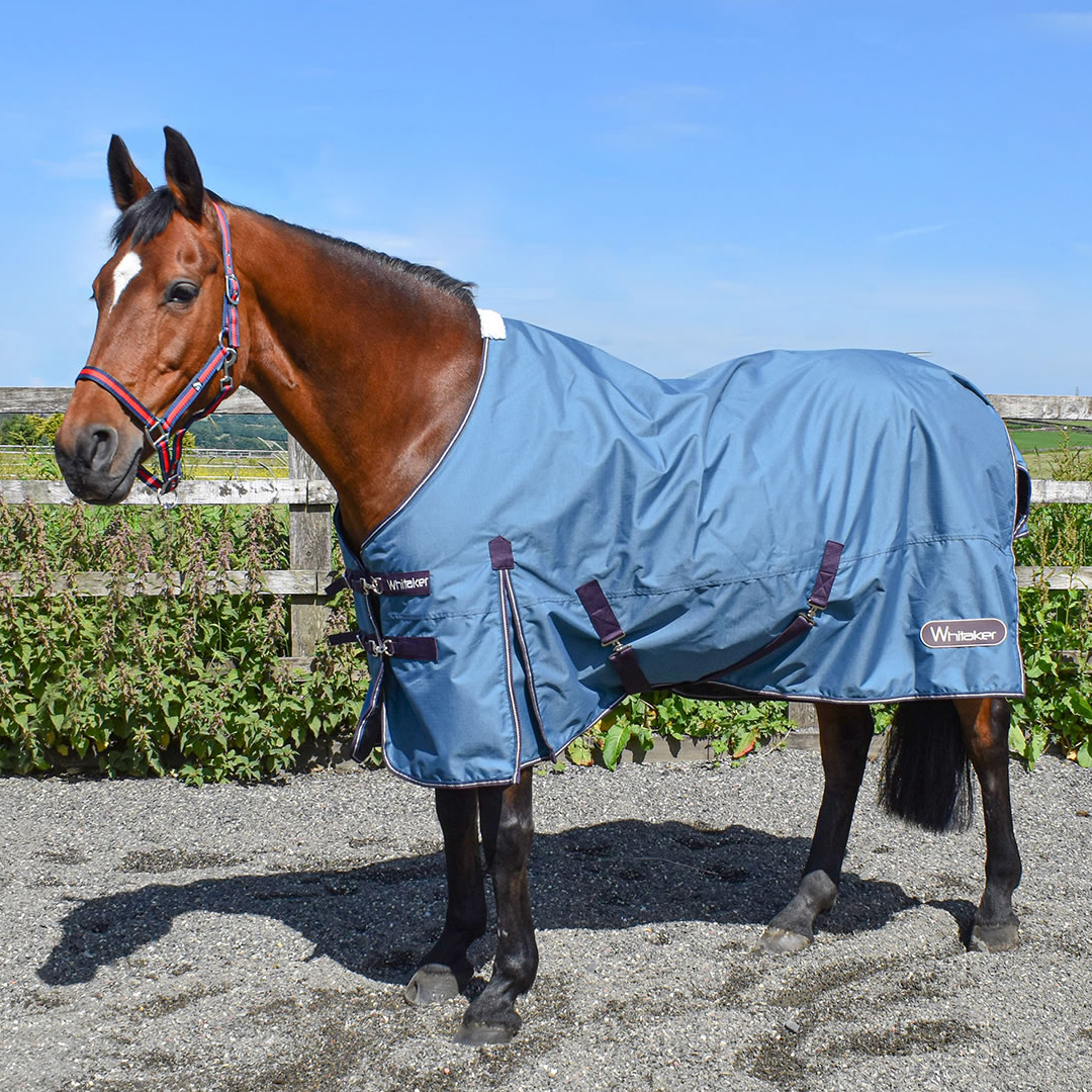 Whitaker Lupin Turnout Rug 100g