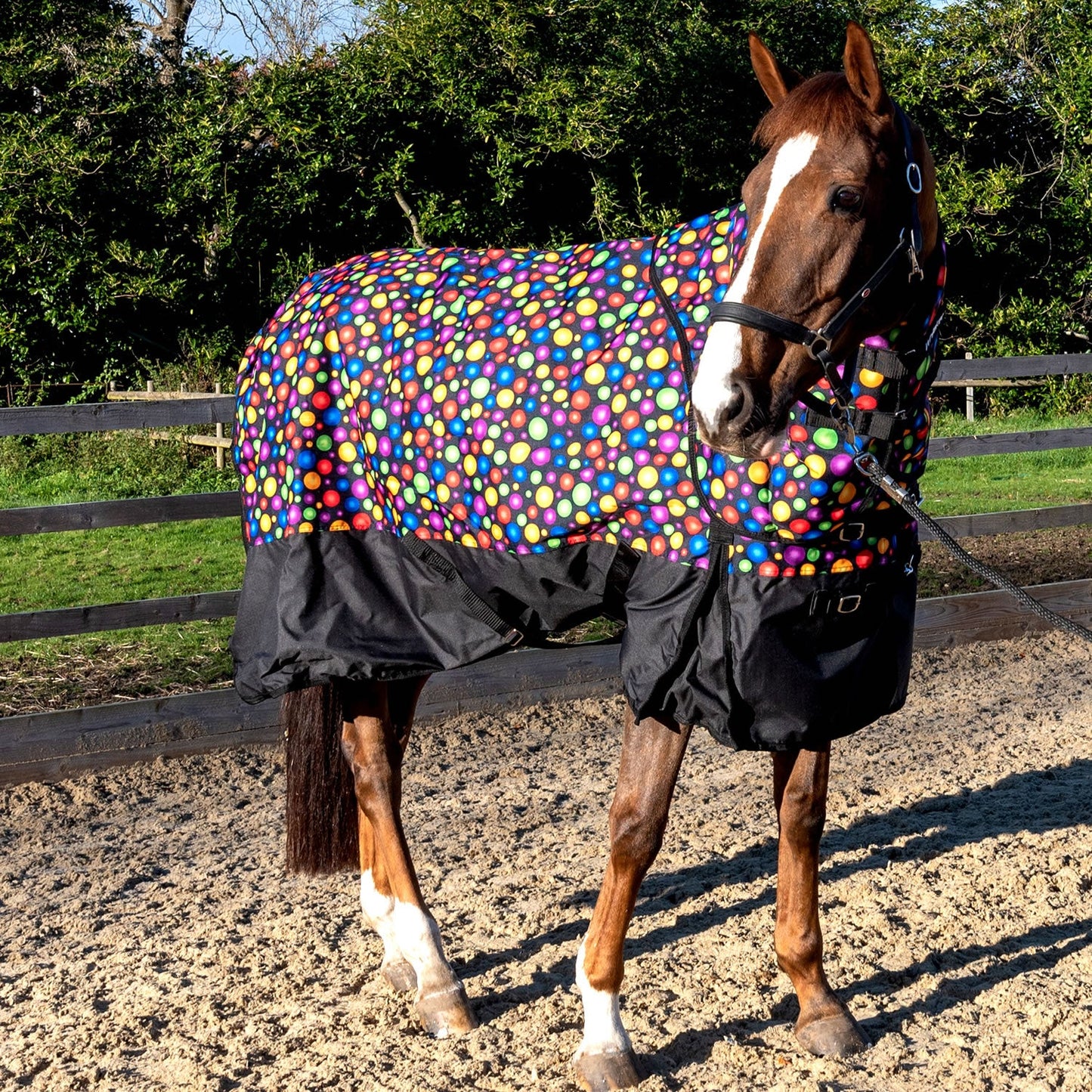 Whitaker Whiston Turnout Rug Detachable Neck 170g
