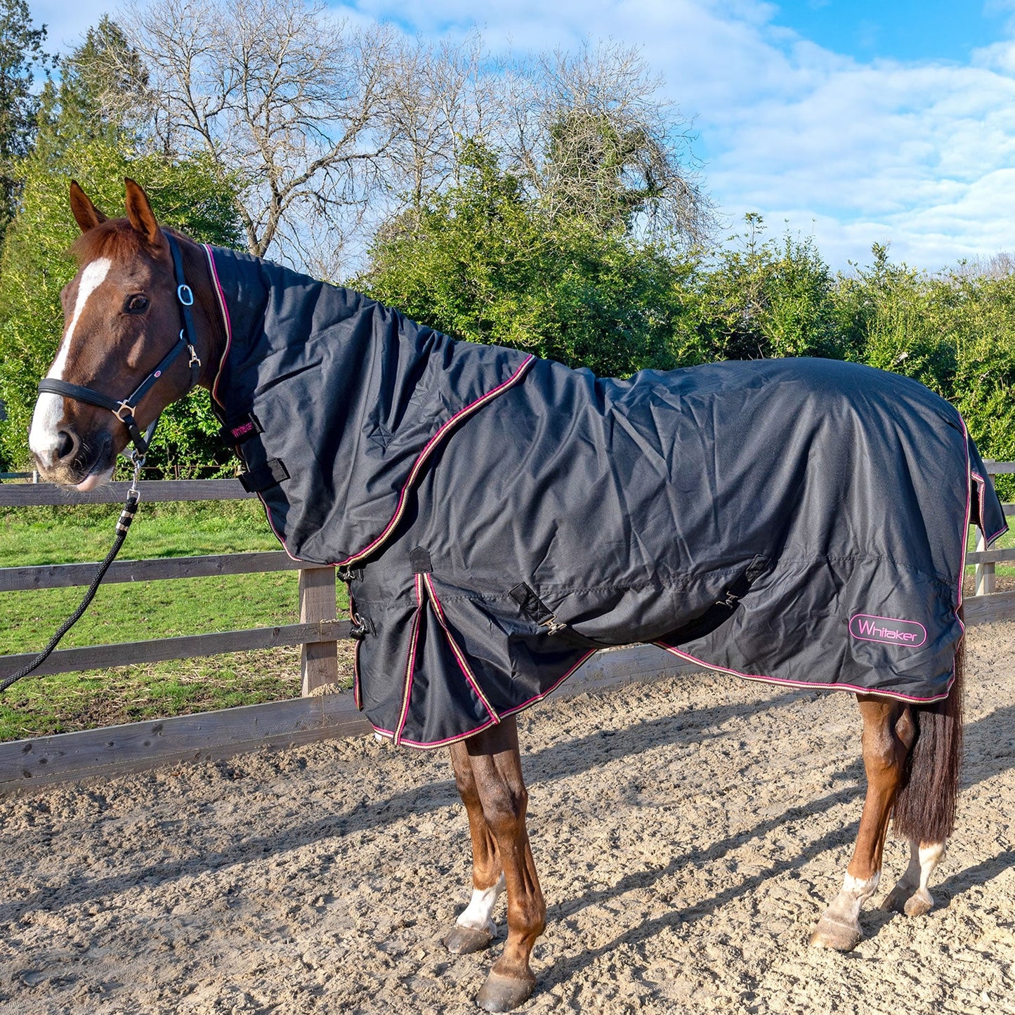 Whitaker Witton Turnout Rug Detachable Neck 200g
