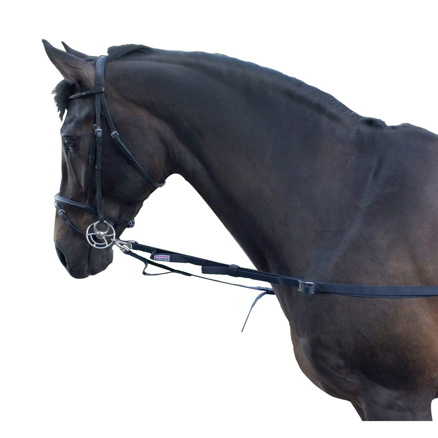 John Whitaker Elasticated Side Reins
