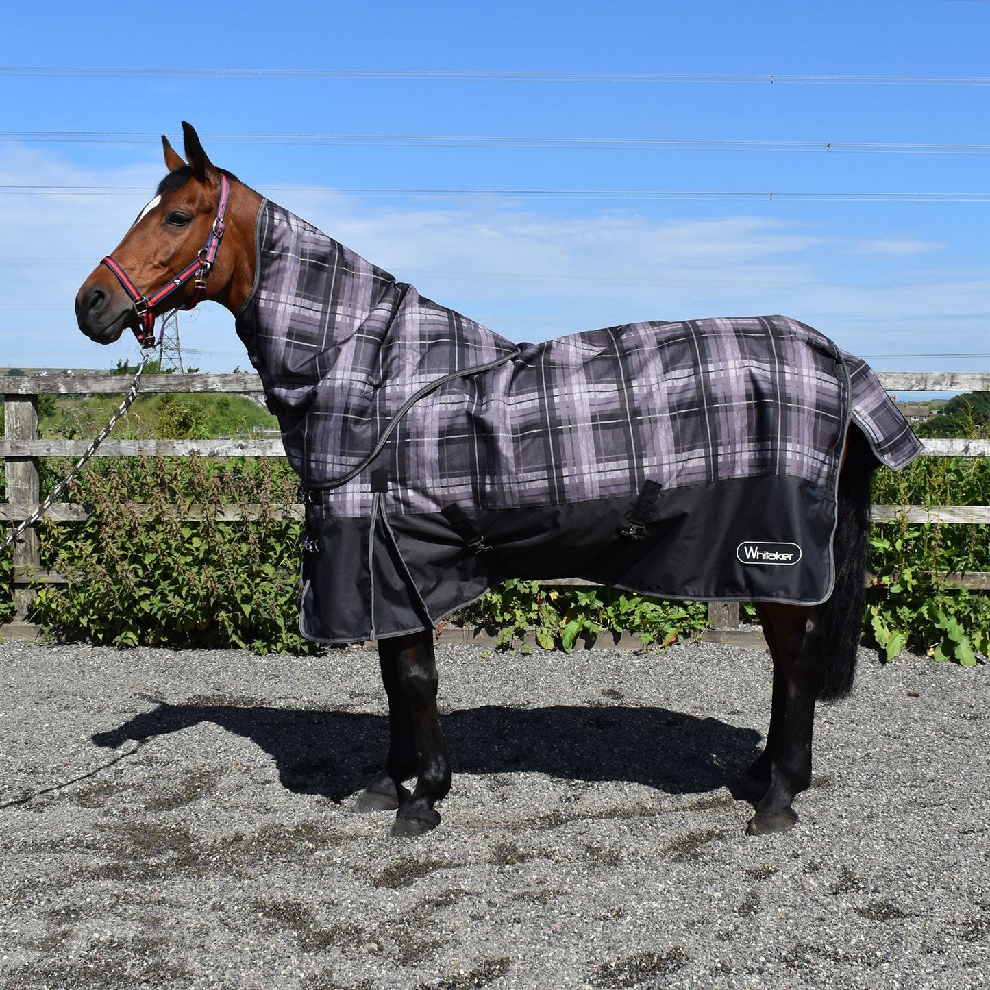 Whitaker Newton Turnout Rug Detachable Neck 200g