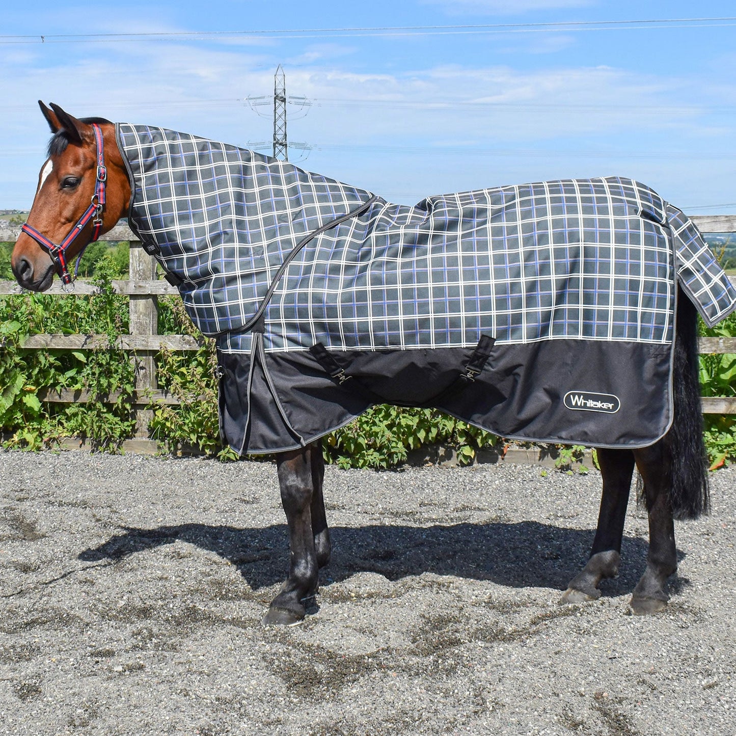 Whitaker Newton Turnout Rug Detachable Neck 200g