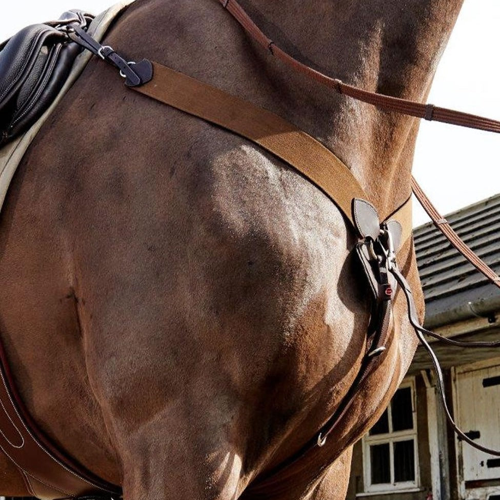 Whitaker Ready To Ride Breastplate
