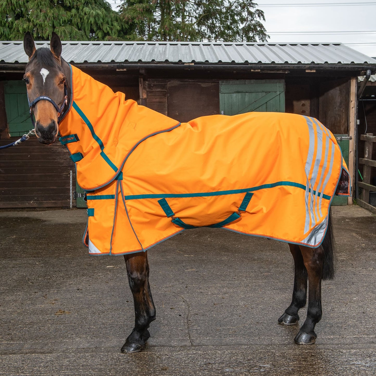 Whitaker Seacroft Turnout Rug Detachable Neck 200g