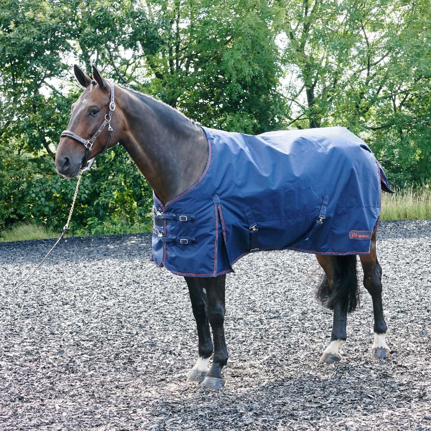 Whitaker Rastrick Turnout Rug 200g