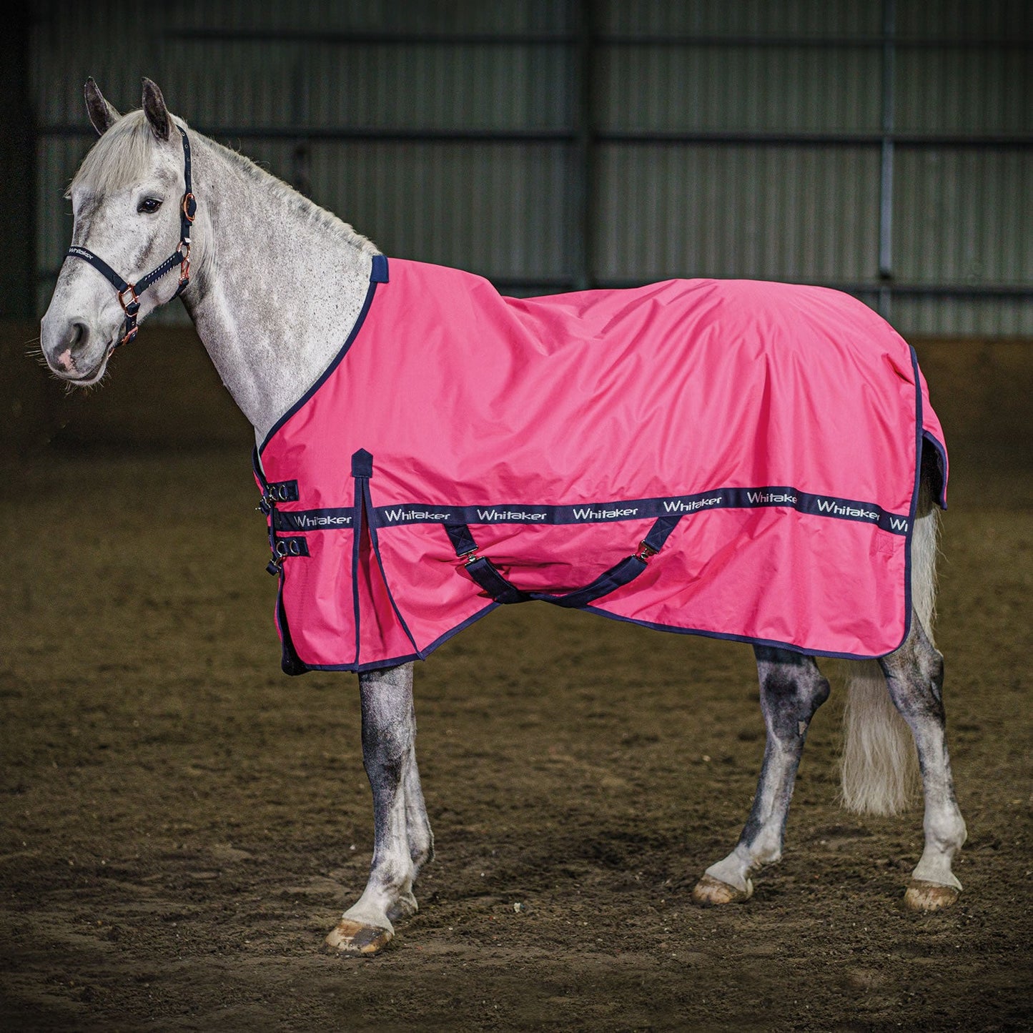 Whitaker Clifton Turnout Rug 0g
