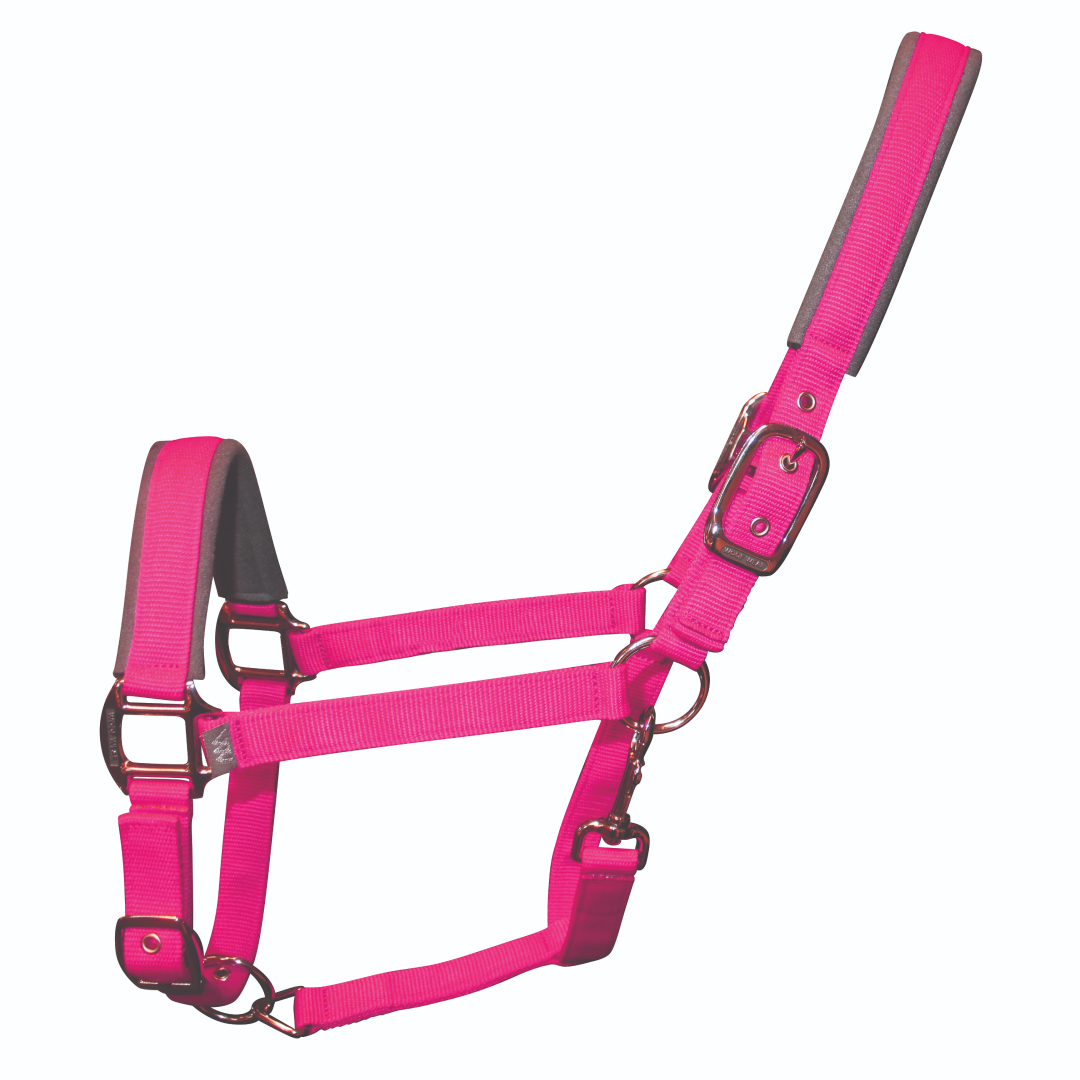 Woof Wear Colour Fusion Contour Headcollar