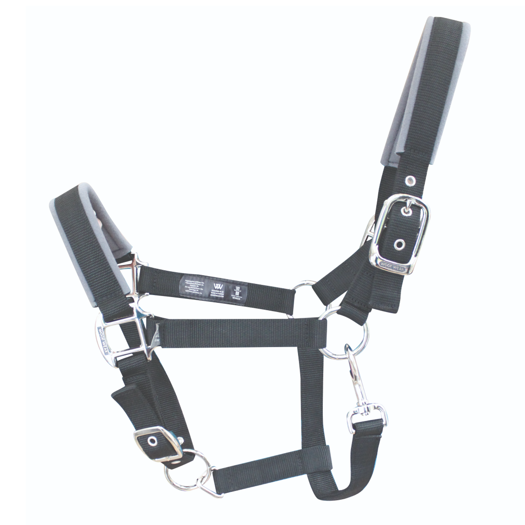 Woof Wear Colour Fusion Contour Headcollar