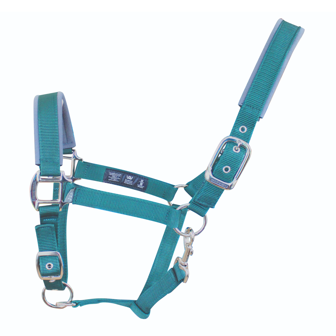 Woof Wear Colour Fusion Contour Headcollar
