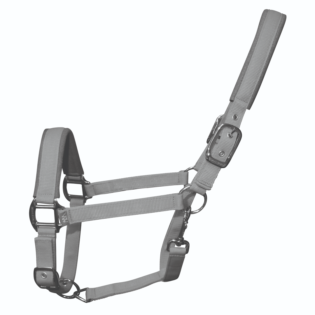 Woof Wear Colour Fusion Contour Headcollar
