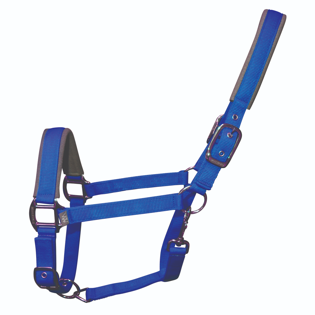 Woof Wear Colour Fusion Contour Headcollar