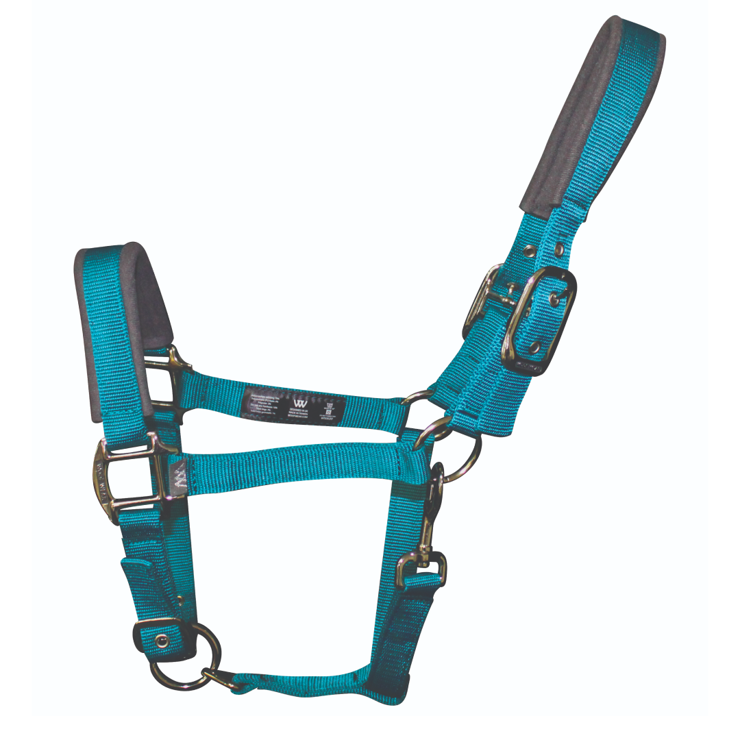 Woof Wear Colour Fusion Contour Headcollar
