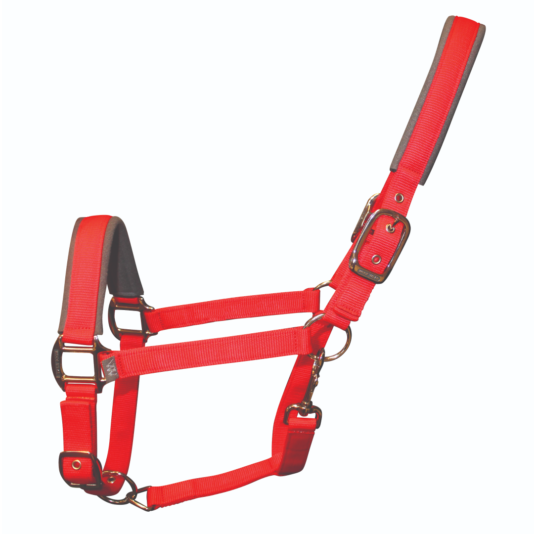 Woof Wear Colour Fusion Contour Headcollar