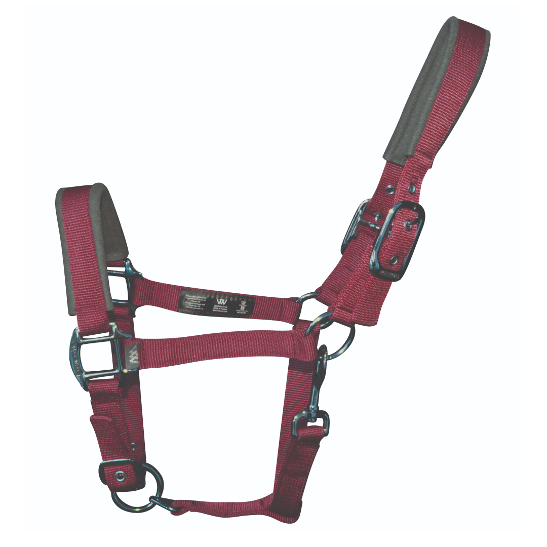 Woof Wear Colour Fusion Contour Headcollar