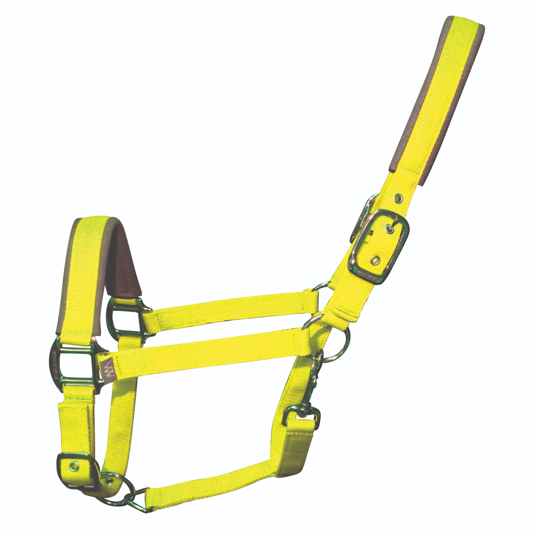 Woof Wear Colour Fusion Contour Headcollar