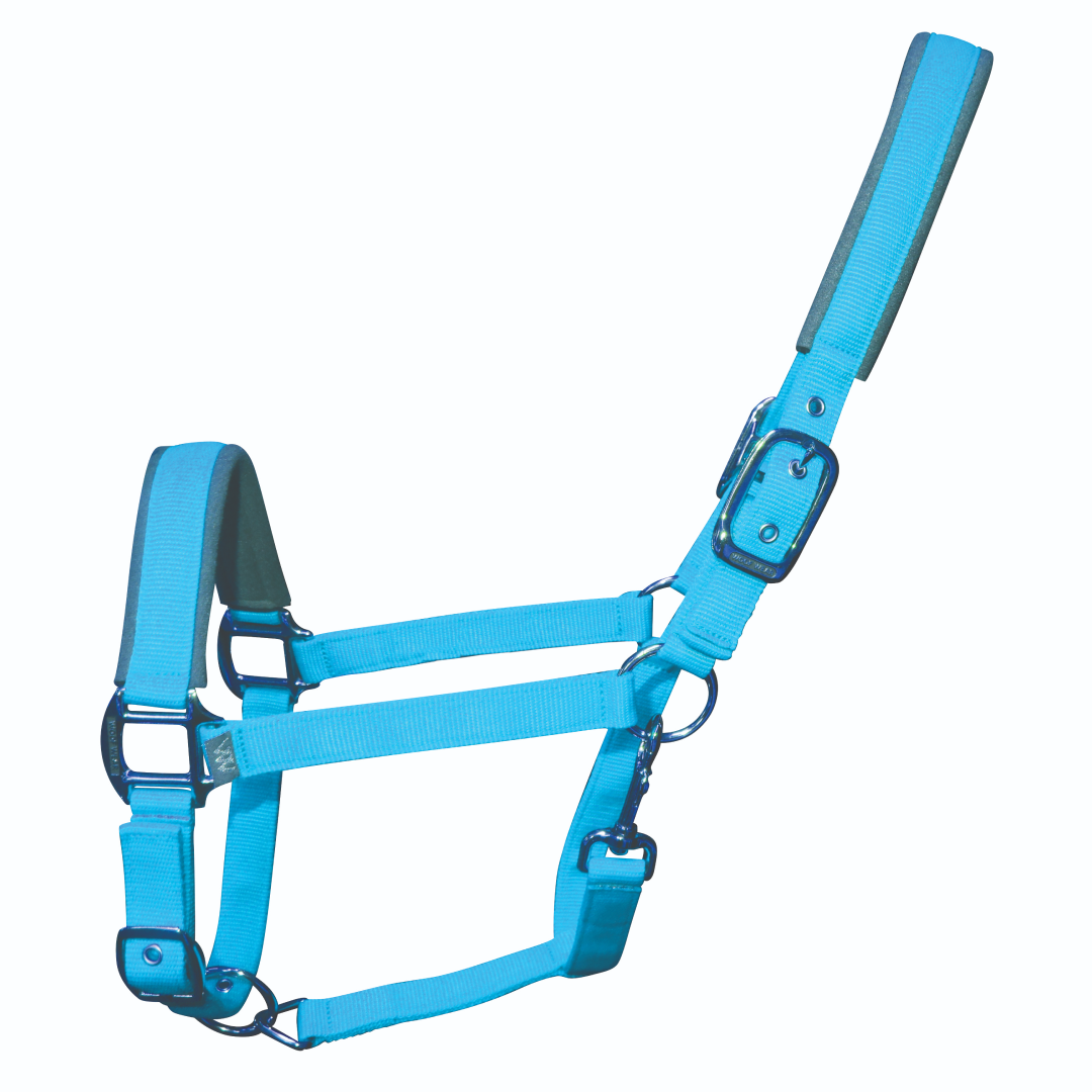 Woof Wear Colour Fusion Contour Headcollar