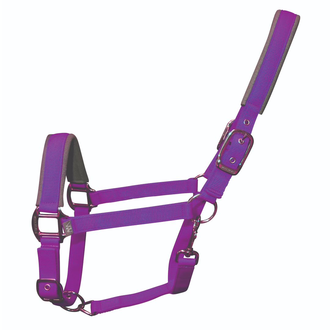 Woof Wear Colour Fusion Contour Headcollar