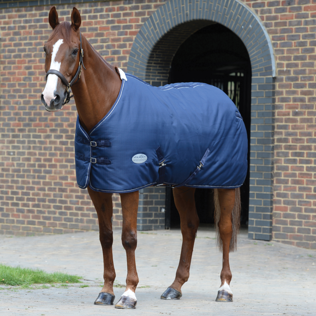 Weatherbeeta 1200D Standard Neck Stable Rug 220g