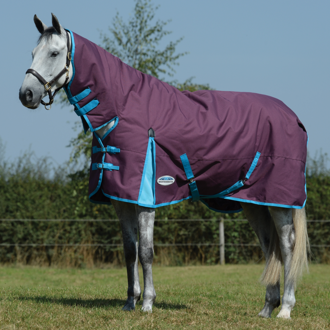 Weatherbeeta ComFiTec Essential Combo Neck Heavy Turnout Rug