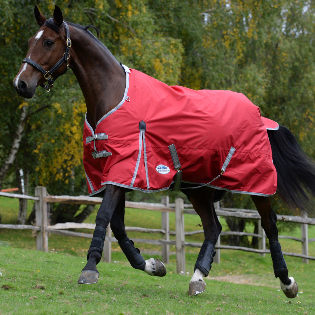 Weatherbeeta Comfitec Classic Standard Neck Lite Rug