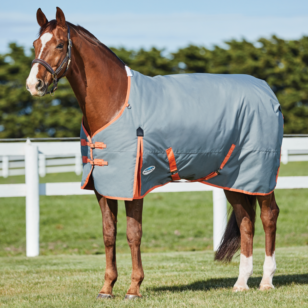 Weatherbeeta Comfitec Classic Standard Neck Medium