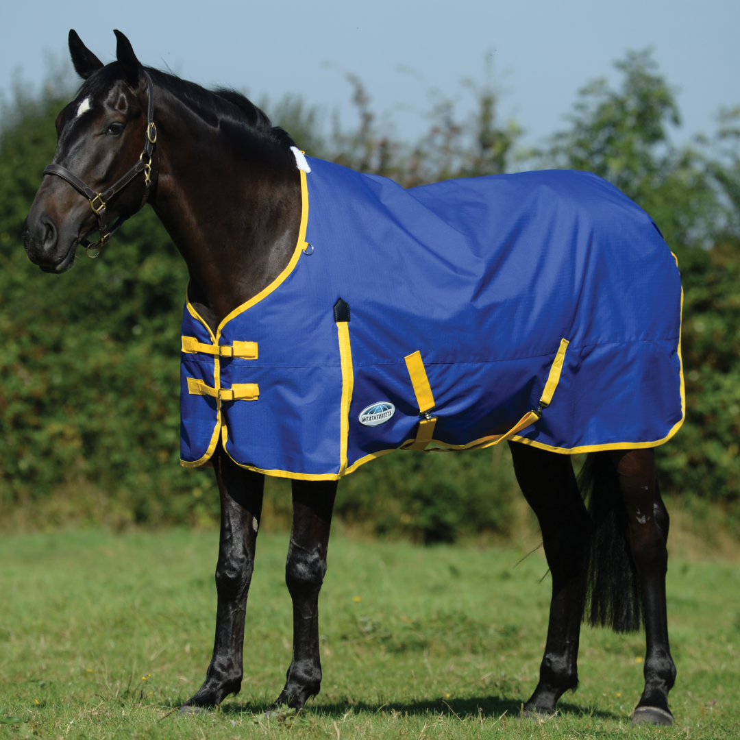 Weatherbeeta Comfitec Classic Standard Neck Medium