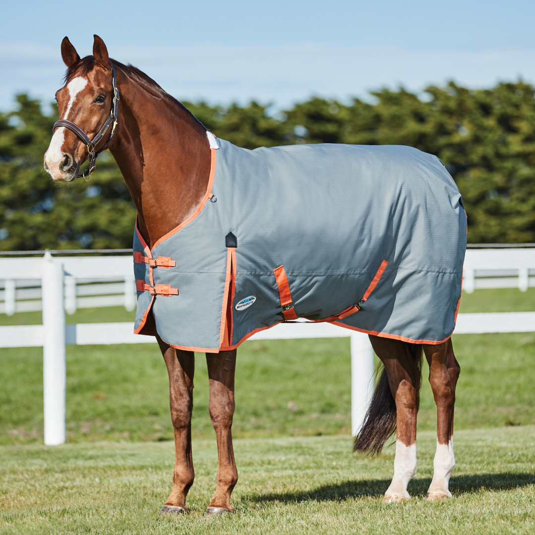 Weatherbeeta Comfitec Classic Standard Neck Medium/Lite