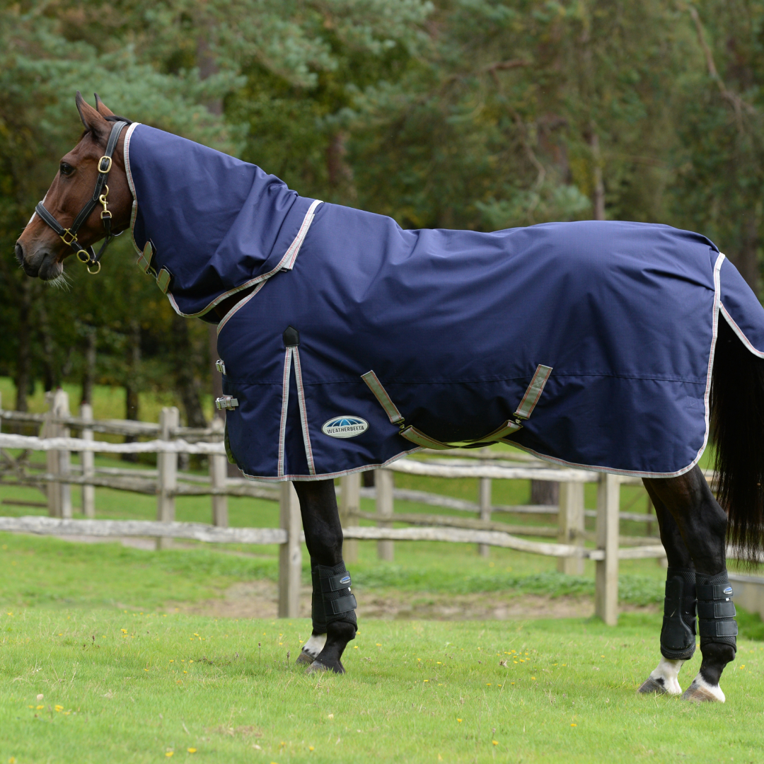 Weatherbeeta Comfitec Essential Detach-A-Neck Medium