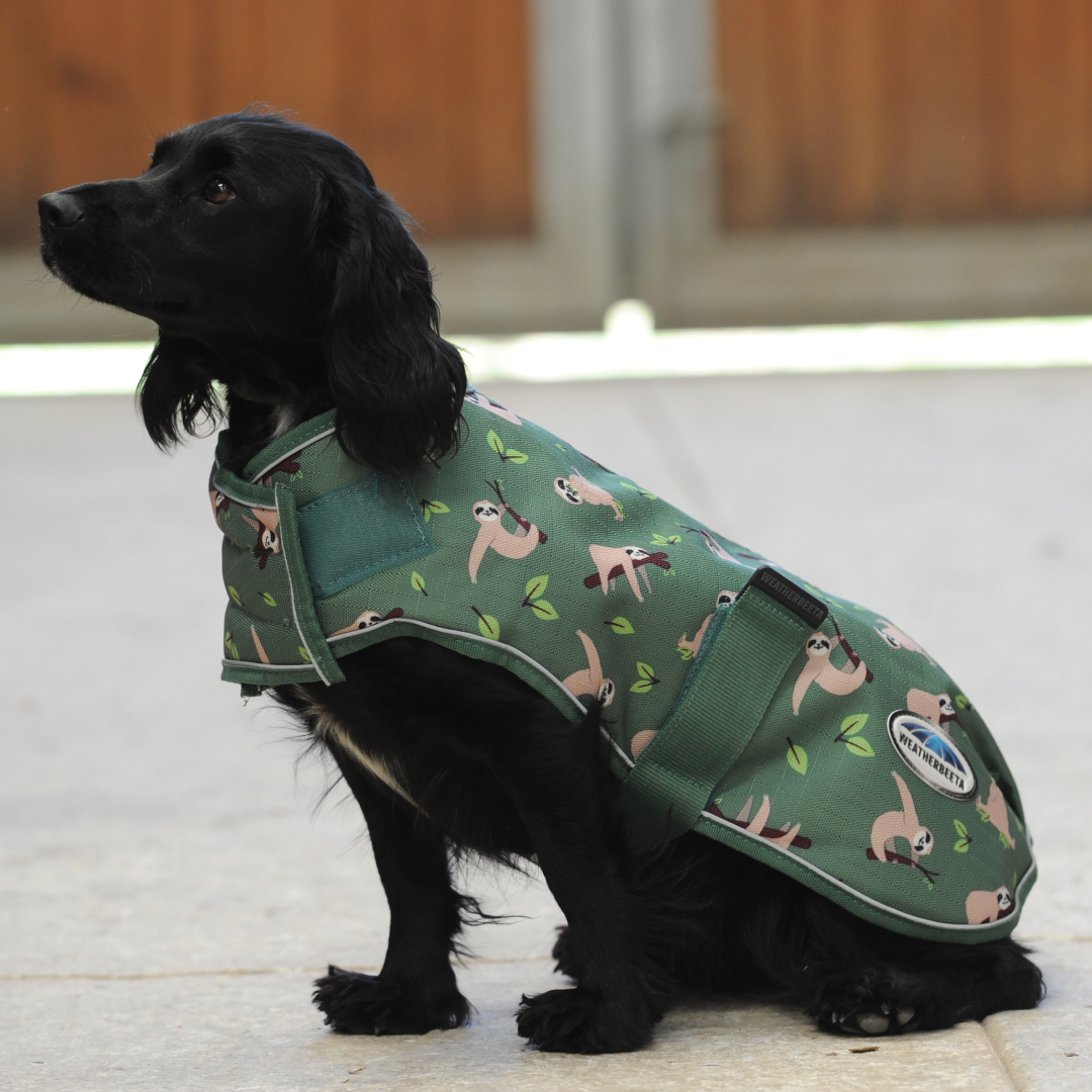 Weatherbeeta Comfitec Premier Free Parka Dog Coat Medium