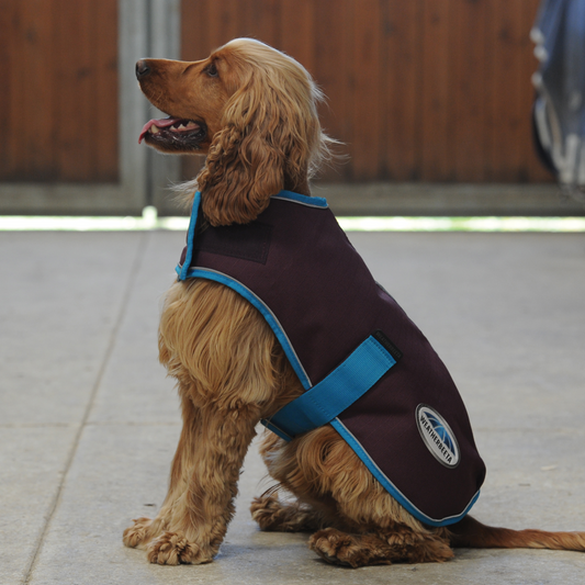 Weatherbeeta Comfitec Premier Free Parka Dog Coat Medium