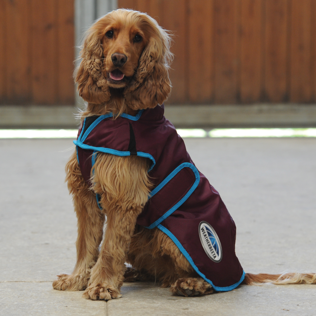 Weatherbeeta Comfitec Windbreaker Free Parka Deluxe Dog Coat