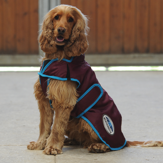 Weatherbeeta Comfitec Windbreaker Free Parka Deluxe Dog Coat