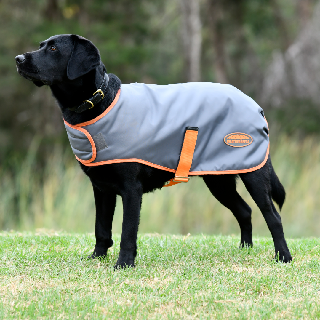 Weatherbeeta Comfitec Windbreaker Free Parka Dog Coat