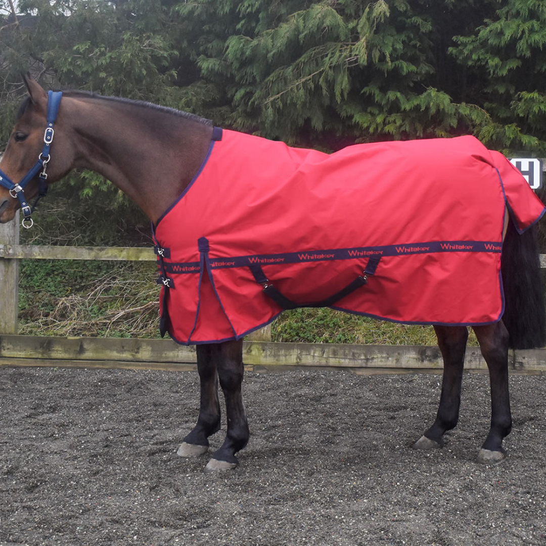 Whitaker Kirby Turnout Rug 100g