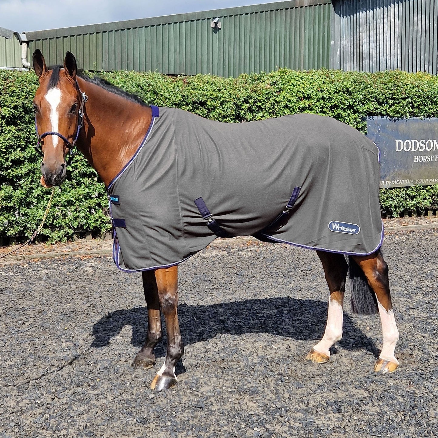 Whitaker Clough Knitted Cooler Rug