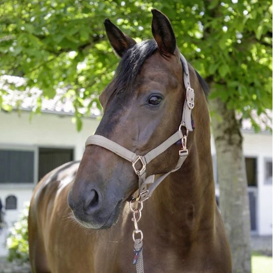Covalliero Halter