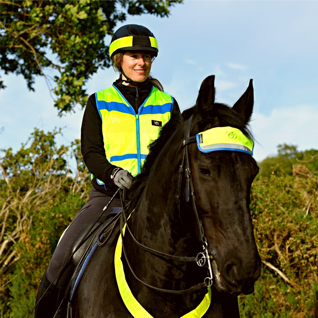 Equisafety Charlotte Dujardin Multi Mesh Waistcoat